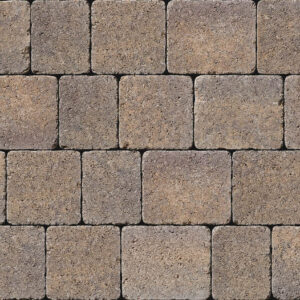 Tegula